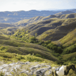 7 Best Times to Explore Wildlife