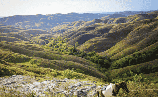 7 Best Times to Explore Wildlife