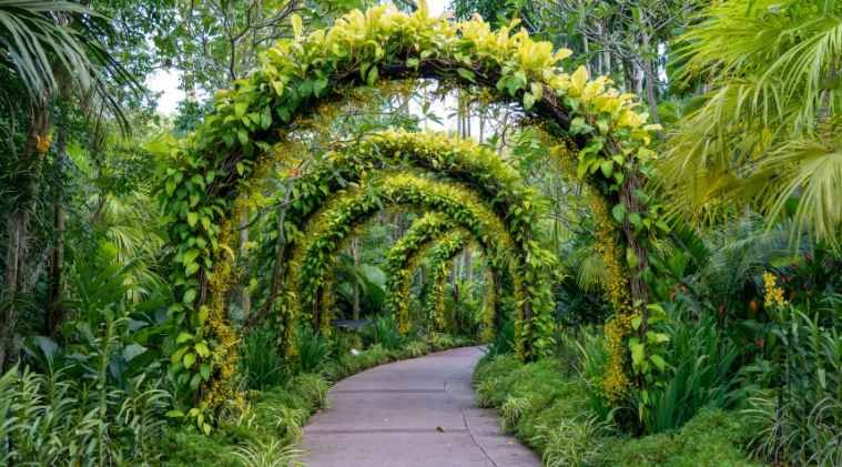 Effortless Beauty: 8 Ways to Create a Low-Maintenance Garden